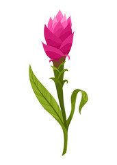 Turmeric root plant, icon. Natural flavor, herbal spice, hand drawn sketch illustration. Detox food ingredient. Vector illustration isolated on white background