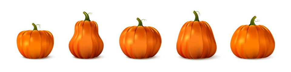 Pumpkin set in various shapes and sizes. Realistic orange gourds with green stems on white background. Autumn harvest, Thanksgiving, Halloween decoration concept. Vector illustration.