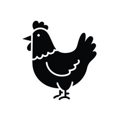 Fototapeta premium Vector illustration of chicken illustration, a common farm animal