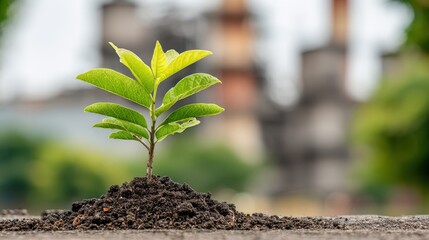 Climate project success is defined by measurable environmental gains from eco-friendly practices, representing dedication to conservation and lasting impact.
