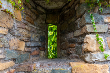 Exploring the beauty of nature framed by ancient stone walls in a secluded area