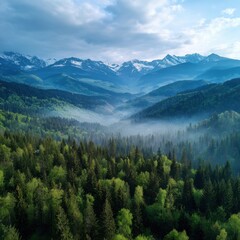 Majestic Aerial View of the Carpathian Mountains
