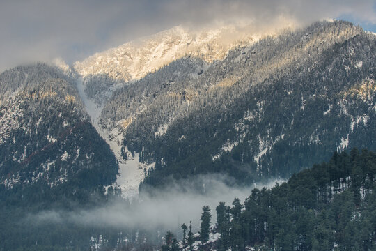 Misty Pine Forest and Snowy Himalayan Ridge. A striking Himalayan ridge with rocky slopes partially covered in snow, highlighted by golden patch of sunlight breaking through clouds. strength, enduranc