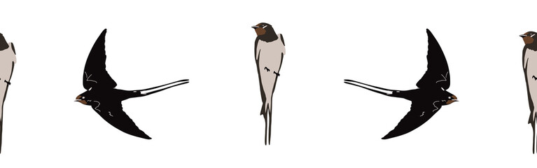 Border icon border. Bird feather silhouette symbol. Bird border isolated on white background	
