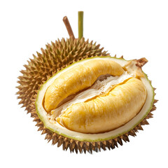 Obraz premium Ripe durian fruit showing its tasty yellow flesh on transparent background