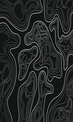 Topography background. Vector banner. Topography background. Vector geographic contour map. Background of the topographic map. Topographic map lines, contour background.