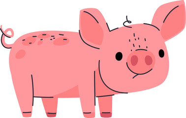 Farm Pig