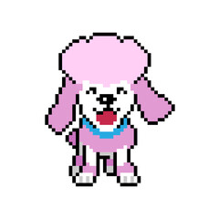 Pixel art a cute poodle dog vector in retro style