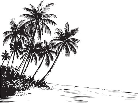 palm trees on the beach engraving outline vector art illustration design, palm tree silhouette, hand drawn beach drawing, line art palm tree, sea, beach, summer view, vintage palm tree on sea beach.