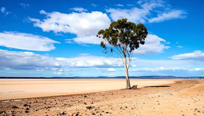A lone tree stands on a dry, flat expanse, beneath a vibrant blue sky dotted with fluffy clouds