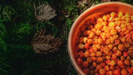 Golden cloudberries nestled in a rustic bowl, whispering tales of Nordic Midsummer feasts and ancient boreal forest folklore