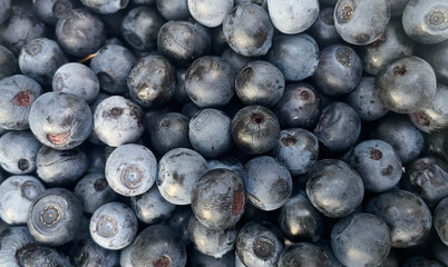 Juicy blueberries shimmer like dusky gemstones, echoing midsummer feasts, wild foraging, and the mystical Lammas harvest