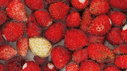 Strawberries floating in a crimson sea, ripe for Midsummer's Eve festivities, tantalize with their vivid, uneven whispers