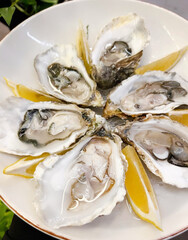 Glistening oysters on the half shell, whispering oceanic secrets, embrace equinox feasting or...