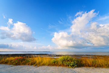 Coastal rpath of Aytré in the Charente Maritime coast