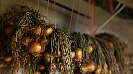 Onions dangling like rustic charms, evoking harvest abundance, autumnal rituals, and the forgotten...