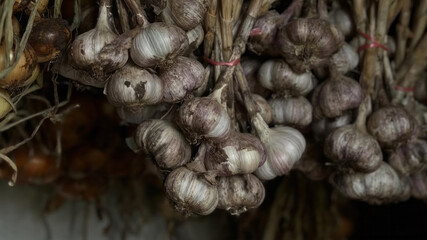 Hanging rustic garlic bulbs in dim light evoke earthy autumn harvest, ancient culinary alchemy, and...