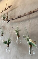 Rustic branch cradles glass bulb vases blooming wildflowers, evoking Imbolc renewal rituals and eco-conscious Earth Day celebrations