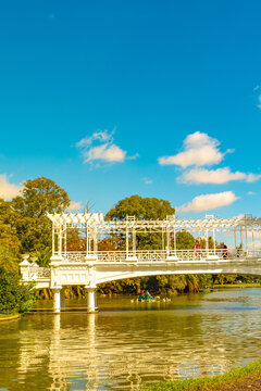 Buenos Aires, Argentina, Palermo district rosy park and garden with beautiful nature at sunny day and blue sky