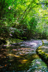 The view of Takkiri Ravine in Oita 2025