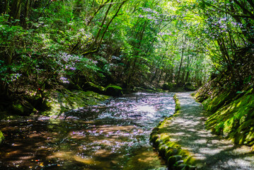 The view of Takkiri Ravine in Oita 2025