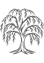 Black and white vector illustration of a weeping willow tree, perfect for engraving, prints, tattoos, and creative projects