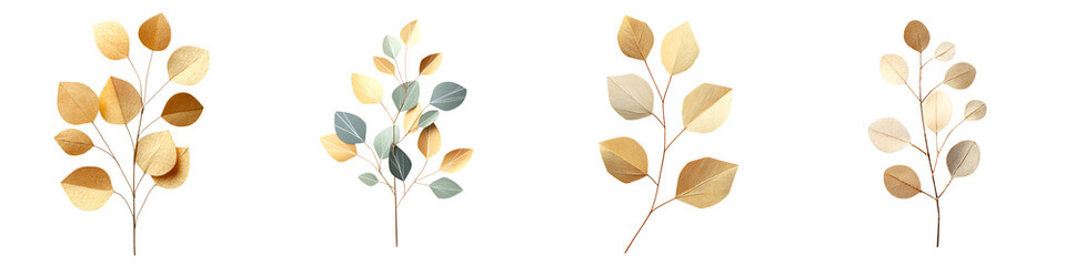 Obraz premium Eucalyptus Watercolor Collection: Delicate Botanical Illustrations