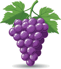 Vector vector art of a bunch of ripe blueberries with green leaves transparent background