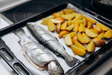 Roasted trout with potatoes is cooked in the oven.