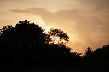 A sunset behind trees, a common and beautiful natural phenomenon