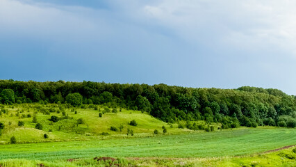 Lush green hills and dense forest under a cloudy sky