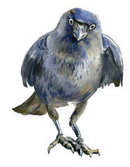 Watercolor crow illustration in a dark artistic style. Hand-painted bird artwork for gothic designs, nature projects, and wildlife decoration with dramatic black tones