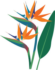 Vibrant bird of paradise flowers exotic tropical bloom nature's artistry isolated vector