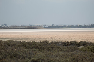 Tranquil View of Hala Sultan Tekke Mosque and Larnaca Salt Lake, Cyprus