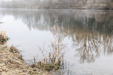 Calm Riverbank with Dry Grass and Reflections on a Foggy Day