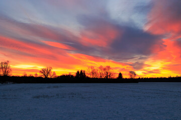 Colourful sunrise with glowing red clouds on a winter's day over the meadows and forests of Siebenbrunn, the smallest district of the Fugger city of Augsburg