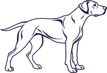 Dog Illustration. Cute Dog Artwork. Cartoon Dog Drawing. Realistic Dog Illustration. Puppy Artwork Design. Dog Portrait Illustration. Sitting Dog Drawing. Dog Breed Illustration