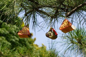 Chinese buddhist decoration on pine tree at Giant Wild Goose Pagoda in Xian, China
