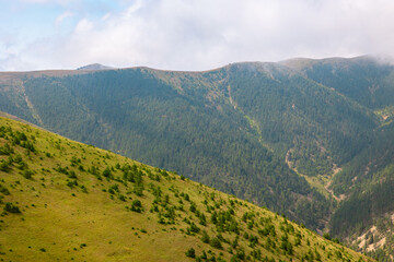 Fototapeta premium Forest covered mountain range and valley with clouds