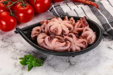 Marinated baby octopus in the bowl