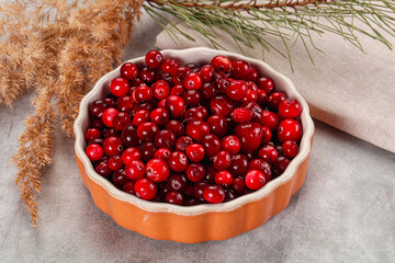 Ripe sweet sour cranberry heap
