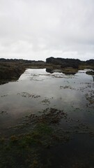 Fototapeta premium Rocky coastal landscape with tide pools under cloudy sky