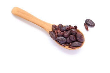 Brown cocoa beans ingredients for chocolate in a spoon