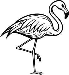 Flamingo Illustration. Pink Flamingo Artwork. Tropical Flamingo Drawing. Realistic Flamingo Illustration. Standing Flamingo Artwork. Flying Flamingo Illustration. Exotic Flamingo Drawing