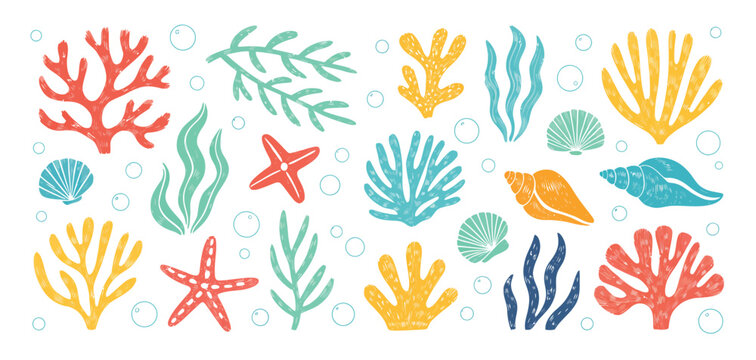 Hand drawn aquarium plants, underwater ocean flora, seashell, algae, starfish. Vector marine plants and animals of the seabed. Flat cartoon illustration