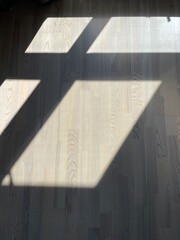 Shadows cast on wooden floor from sunlight filtered through a window. Copy Space
