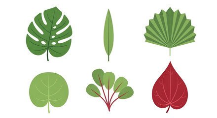 Fototapeta premium Diverse Stylized Botanical Leaves Collection