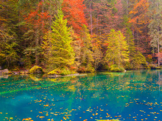 Nature. Blue lake and autumn forest. Reflections on the water surface. Incredible view of the...