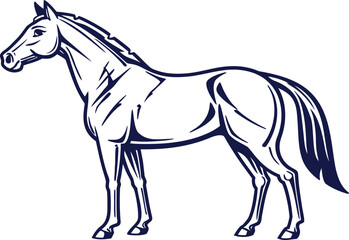 Horse Illustration. Realistic Horse Artwork. Running Horse Drawing. Wild Horse Illustration. Stallion Horse Artwork. Horse Head Drawing. Galloping Horse Illustration. Horse Family Artwork