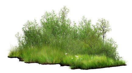 green grass isolated on white/Green shrub foliage with trees in meadow field, natural vegetation landscape. © Saharattaphum
